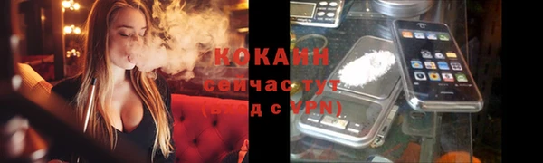 прущий лед Арсеньев