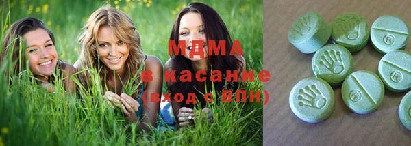 индика Алзамай